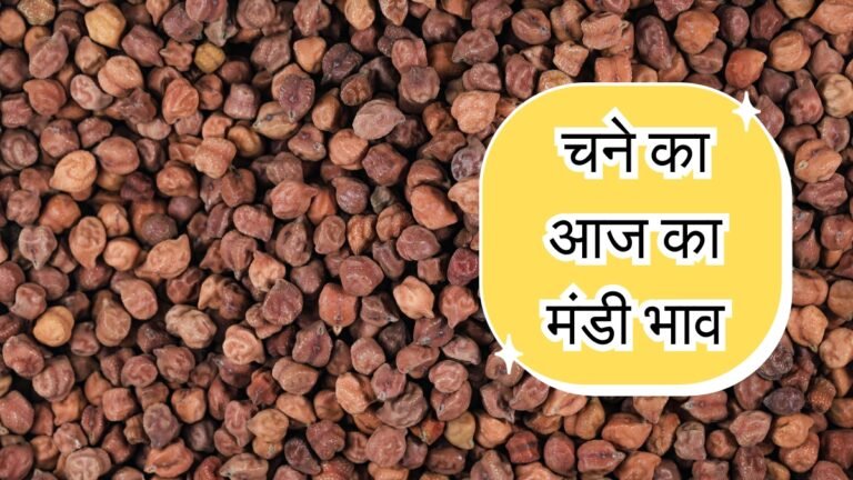 29 June Gram Mandi Bhav